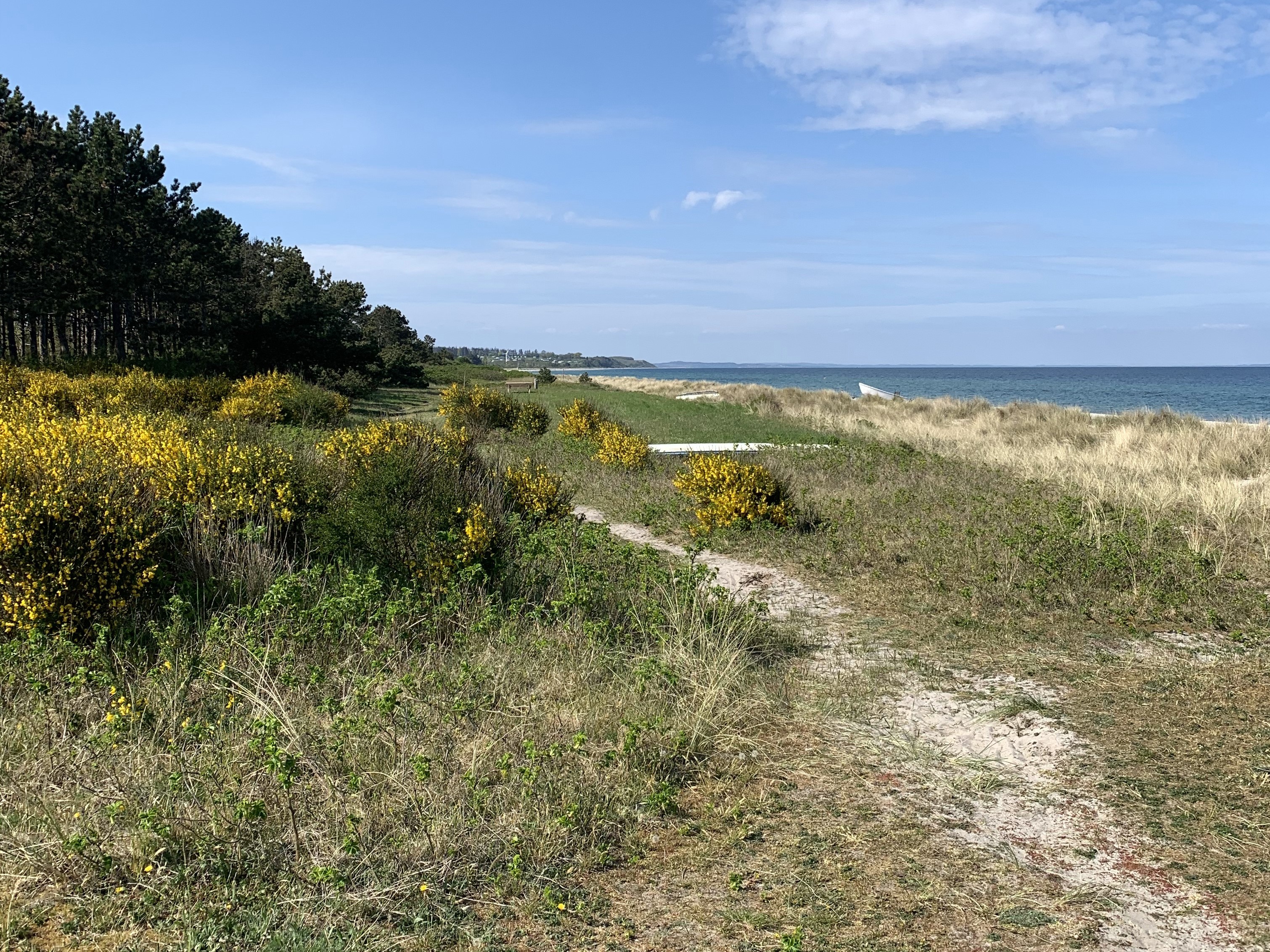 Stranden